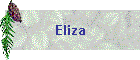 Eliza