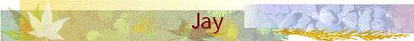 Jay