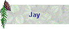 Jay