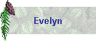 Evelyn