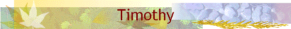 Timothy