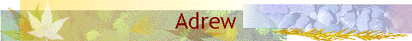 Adrew
